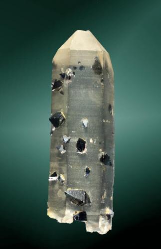 Anatasa + Cuarzo
Tisse, Handargervidda, Hordaland, Noruega.
3,9 x 1,4 x 1,1 cm. (ejemplar) / 0,5 x 0,3 x 0,2 cm. (cristal pral.)
Uno de los primeros ejemplares de anatasa noruega que empezaron a verse en la feria de Munich (Helmuth Törk) en 1985.
Cristales bipiramidales agudos implantados en cuarzo (y parcialmente como inclusión). (Autor: Carles Curto)