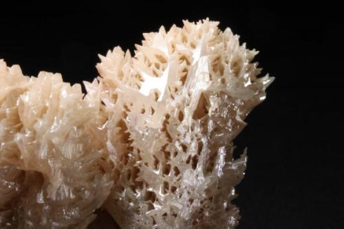 Cerusita (Detalle del crecimiento esquelético)  
(Mina Nakhlak, Anarak, Irán)
7,5 x 5,5 x 3,4 cm.
(Foto Copyright: Iván Blanco) (Autor: Iván Blanco (PDM))