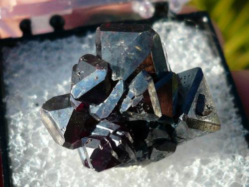 Cuprita
Rubtsovskiy Mine, Altayskiy Kray, Siberia, Rusia.
2,2x1,7x1,2 cm (Autor: nerofis2)