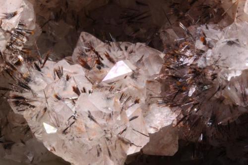 Goethita, Cuarzo (detalle)
Amerzgane, Ouarzazate, Marruecos
Tamaño de la pieza: 19,4 × 9,8 × 6,2 cm.
Los cristales de goethita forman abanicos que sobresalen hasta 8 mm desde los cristales de cuarzo. (Autor: Iván Blanco (PDM))