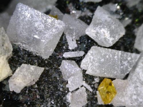 Anglesita
Payunia, Mendoza, Argentina
~1cm
Cristales biterminados de anglesita (acompañados por un solo microcristal de wulfenita). (Autor: Alfredo Petrov)