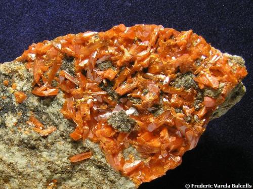 Crocoita
Crocoite Mine, Montes Uspenskaya, Berezovsk, Urales (Rusia)
Tamaño de la pieza 8,5 x 5 x 1,5 cm.  
Encuadre 5 x 4 cm. aprox.  
Cristal mayor 0,7 cm. (Autor: Frederic Varela)