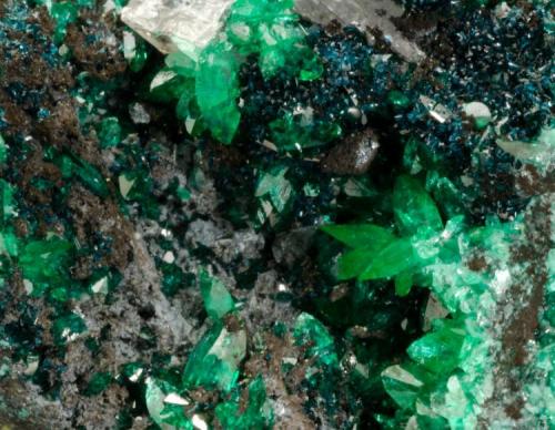 Keyite (bluish crystals), Schultenite (clear green crystals), Cuproadamite (darker green crystals) 
Tsumeb, Namibia
Size: Miniature
Keyite structure type

Specimen: William Pinch Collection
Photo: Jeff Scovil & The RRUFF Project (Author: Pinch Bill)