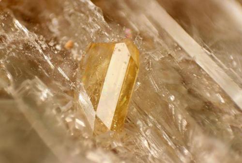 Celestina
Los Pedreñales, Azaila, Teruel, España
cristal de 5 mm
Cristales de celestina de unos 5 mm en geoda de yeso de 75mm X 48 mm (Autor: MMorales)
