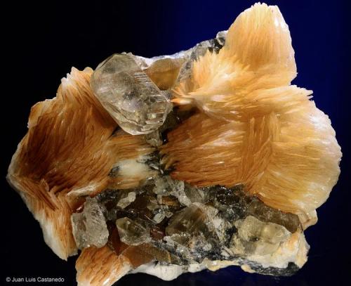Cerusita y barita. 
ACF Mine area. Mibladen. Midelt. Marruecos. 
5x4.1 cm. Cristal mayor 1.3 cm (Autor: Juan Luis Castanedo)