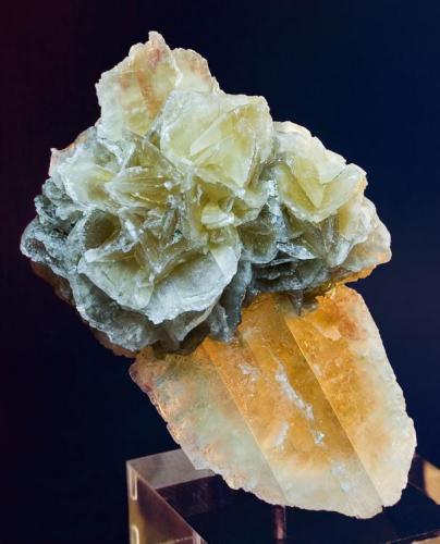 Yeso
Cerro de San Roque, Villalbilla, Madrid. España
7,5 cm X 4,5 cm
Dos pequeñas rosas sobre un cristal de yeso color caramelo (Autor: MMorales)