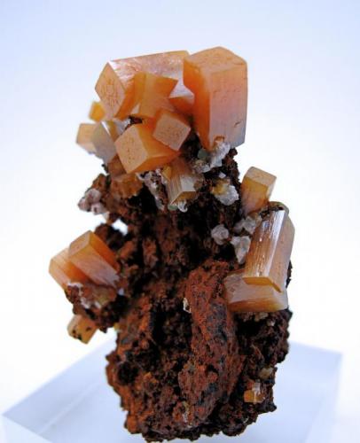 Wulfenite, mimetite
San Juan Poniente, Ojuela Mine, Mapimí, Mun. de Mapimí, Durango, Mexico
58 mm x 45 mm (Author: Carles Millan)