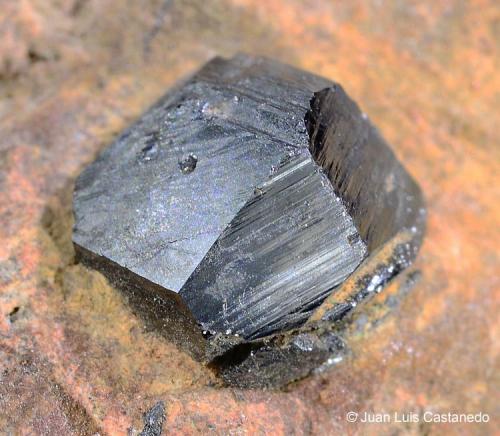 Hematites. 
Cabezo de la Rosa. Jumilla. Región de Murcia. España.
7x5.5 cm. Cristal 0.8 cm. (Autor: Juan Luis Castanedo)