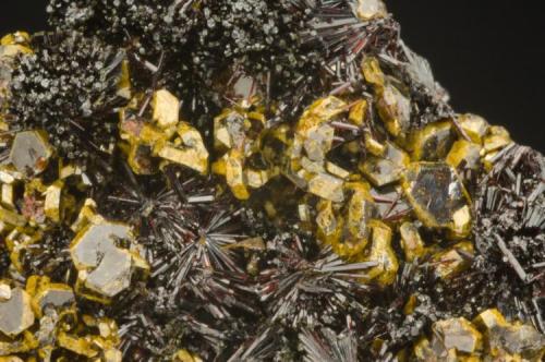 Carminite crystals (reddish) with Beudantite crystals
Tsumeb, Namibia
Size: Small Cabinet

Specimen: William Pinch Collection
Photo: Jeff Scovil & The RRUFF Project (Author: Pinch Bill)