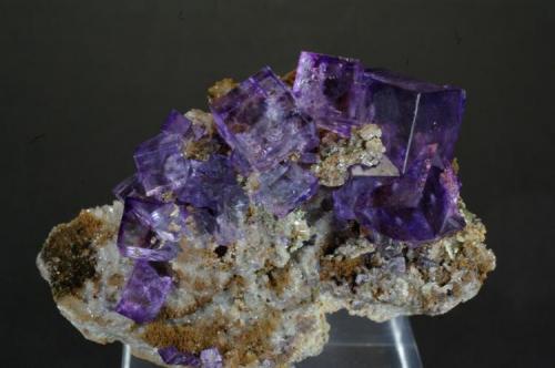 Fluorita
Mina Ojuela, Mapimi, Durango, Mexico
55x40x25 mm
El cristal mayor tiene 11 mm de arista (Autor: Juan María Pérez)