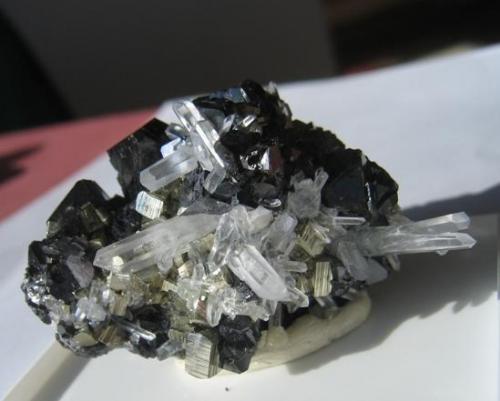 Sphalerite, pyrite & quartz
Alimon Mine, Huaron Mining District, San Jose de Huayllay, Cerro de Pasco, Pasco, Peru
6.5 x 4.5 x 4.0 cm.
Beautiful Specimen (Author: Leon56)