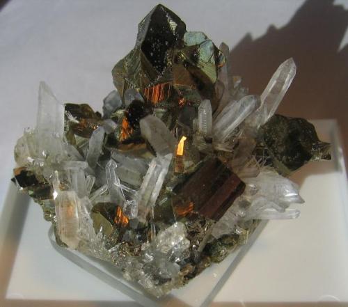 Chalcopyrite & Quartz
Huaron Mining District, San Jose de Huayllay District, Cerro de Pasco, Daniel Alcides Carrión Province, Pasco Department, Peru
5.8 x 4.2 x 4.6 cm.
A super specimen - one of my favorite Chalcopyrites! (Author: Leon56)