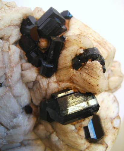 Schorl on Orthoclase.
Erongorus 166 Farm, Karibib District, Erongo Region, Namibia.
105 x 100 x 70 mm (Author: Tobi)