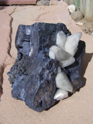 Galena and Calcite
Sweetwater Mine, Reynolds County, Missouri
9" x 7" X6"  41 lbs (Author: yotes1az)