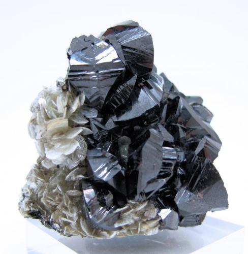 Cassiterite, muscovite, scheelite
Xuebaoding, Huya, Pingwu, Mianyang, Sichuan, China
57 mm x 53 mm x 42 mm (Author: Carles Millan)