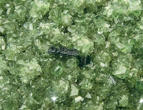 Ludlamite with Vivianite
Black Bird, Middle Fork District, Lemhi Co., Idaho, USA
Specimen size: 8.5 × 7.5 × 1 cm.
Main crystal size: 0.3 × 0.2 cm.
From the former David Lucas Collection
Photo: Reference Specimens (Author: Jordi Fabre)