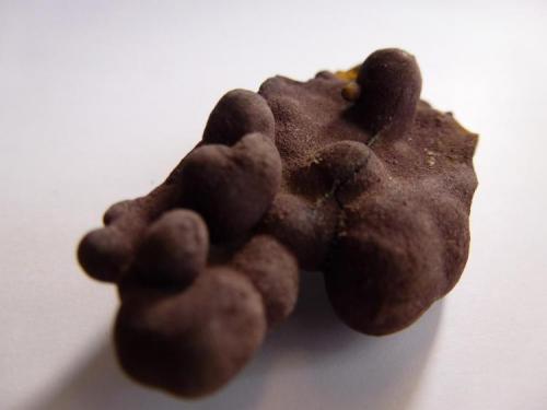 Limonita pseudomorfa de Pirita<br />Villacastín, Comarca Segovia Sur, Segovia, Castile and León, Spain<br />4 x 3 cm.<br /> (Autor: javier ruiz martin)
