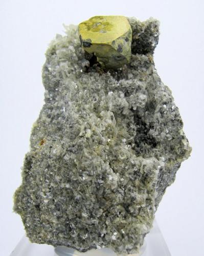 Kësterita, mushistonita, mica
Mt Xuebaoding, Pingwu, Mianyang, Sichuan, China
60 mm x 45 mm (Autor: Carles Millan)