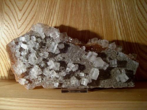 Halite
Neuhof-Ellers Potash Works, Neuhof, Fulda, Hesse, Germany
230 x 120 x 40 mm, largest crystals 15 mm. (Author: Tobi)