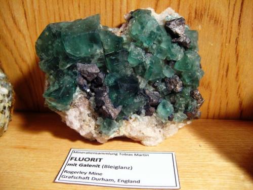 Fluorite with galena
Rogerley Mine, Weardale, North Pennines, Co. Durham, England
80 x 70 x 30 mm, largest crystal 20 mm. (Author: Tobi)