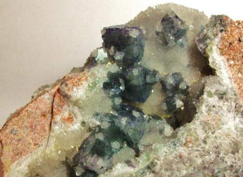 Fluorita
Mina Vértice, Cerro Muriano, Córdoba, España
Pieza 8x6 cm 
cristales 2cm (Autor: Nieves)