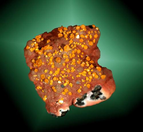 Wulfenita
Whim Creek, Roebourne, Pilbara (reg.), Western Australia, Australia. Whim Creek (m).
3,3x3,4x2,2 cm. / 0,3x0,2x0,2 cm. (cristal pral.)
Cristales bipiramidales, de color naranja en matriz de goethita botrioidal.
Ejemplar de 2008 procedente de la colección Silvane
MINDAT ID: 218272 (Autor: Carles Curto)