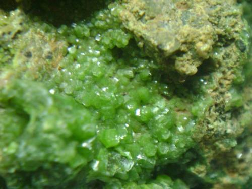 Piromorfita.<br />"Juan Antonio" mining group, Las Minillas area, Garlitos, Comarca La Siberia, Badajoz, Extremadura, Spain<br />6 x 5 x 4 cm<br /> (Autor: P. apita)