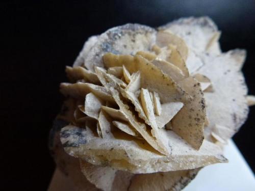 Calcita<br />Cogeces de Íscar, Comarca Tierra de Pinares, Valladolid, Castile and León, Spain<br />5 x 6 cm.<br /> (Autor: javier ruiz martin)