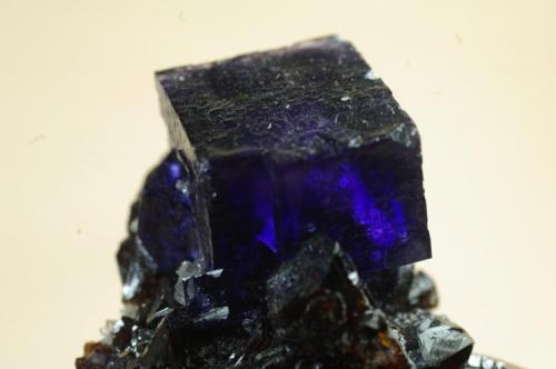 Fluorita sobre Esfalerita
Elmwood Mine, Tennessee, EEUU
45x30x40 (cristal con una arista de 18 mm (Autor: Juan María Pérez)