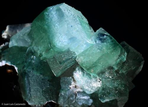 Apofilita. 
Nasik. Maharastra. India. 
6.3x4 cm. Cristal mayor 2 cm. (Autor: Juan Luis Castanedo)