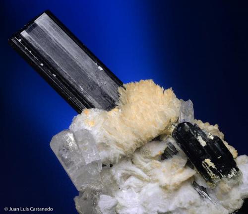 Turmalina y topacio. 
Gilgit. Paquistán. 
9x4.3 cm. Cristal mayor de turmalina 3.7 cm. de topacio 1.7 cm (Autor: Juan Luis Castanedo)