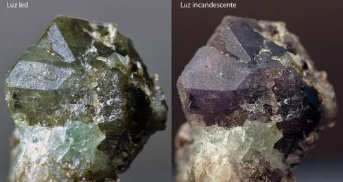 Crisoberilo (variedad alejandrita)<br />Emerald Deposit, A Franqueira, A Cañiza, Comarca Paradanta, Pontevedra, Galicia / Galiza, Spain<br />6,5 mm<br /> (Autor: Javier MC)