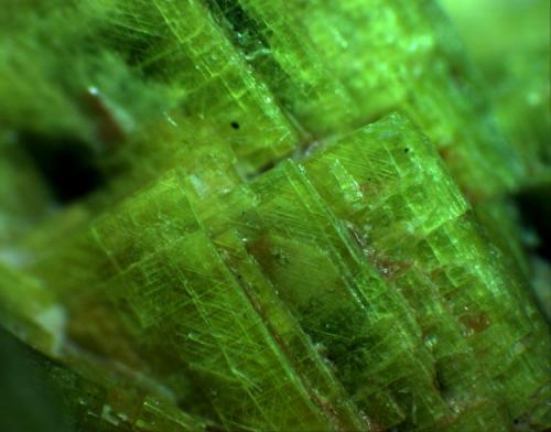 Meta-autunite
Daybreak Mine, Mount Kit Carson, Spokane County, Washington, USA
The FOV is about 4mm (0.160")
This little guy is from the type locality. (Author: Jim Prentiss)