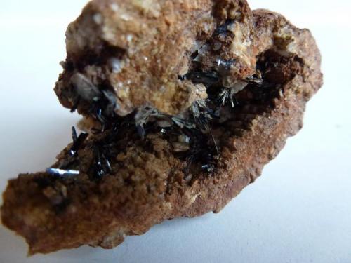 Goethita<br />Goethite outcrop, Tordelrábano, Comarca Sierra Norte de Guadalajara, Guadalajara, Castilla-La Mancha, Spain<br />5 x 5 cm.<br /> (Autor: javier ruiz martin)