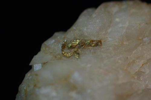 Oro nativo en cuarzo
León, Castilla-León, España
33x20x16 mm reverso de la misma pieza (Autor: Juan María Pérez)