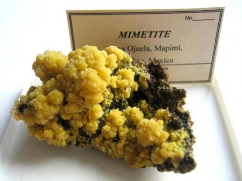 MIMETITE
Mina Ojuela, Mapimi, Durango, Mexico
6 x 4 x 3 cm
 (Author: Leon56)