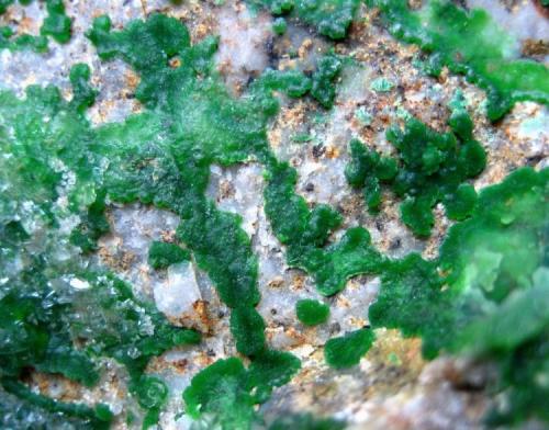 Conichalcite
Gold Hill, Utah, USA
Field of view 30 mm (Author: Tobi)