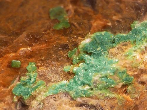 Torbernita<br />Mina Santa Marina, Monte Galiñeiro, Vincios, Gondomar, Comarca Vigo, Pontevedra, Galicia / Galiza, España<br />Cristales sobre 1mm<br /> (Autor: Javier MC)