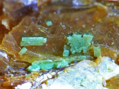 Torbernita<br />Mina Santa Marina, Monte Galiñeiro, Vincios, Gondomar, Comarca Vigo, Pontevedra, Galicia / Galiza, España<br />Cristal mayor 1mm<br /> (Autor: Javier MC)