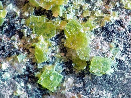 Autunita sobre Cuarzo (variedad ahumado)<br />Tui (Tuy), Comarca Baixo Miño, Pontevedra, Galicia / Galiza, España<br />Cristales sobre 1mm<br /> (Autor: Javier MC)