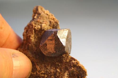 Galena<br />Galena's mine, Vegacervera, Comarca Ribera del Torío, León, Castile and León, Spain<br />5,5 x 4 cm.<br /> (Autor: minero1968)