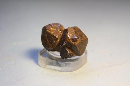 Galena<br />Galena's mine, Vegacervera, Comarca Ribera del Torío, León, Castile and León, Spain<br />3,5x 2,5 cm.<br /> (Autor: minero1968)