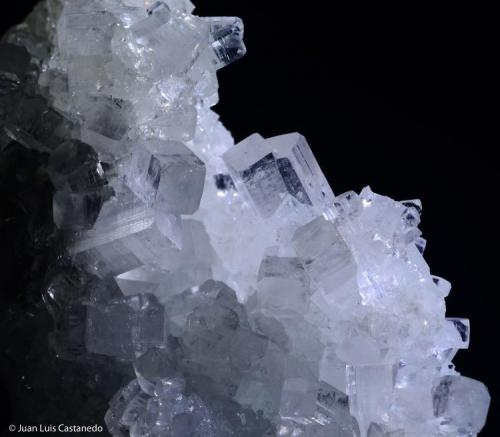 Apofilita.
Jalgaon. Maharashtra. India.
8x6 cm. Cristal mayor 1.2 cm. (Autor: Juan Luis Castanedo)