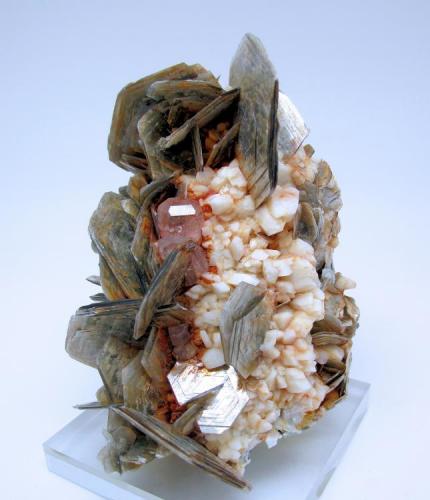 Fluorapatite, albite, muscovite
Chumar Bakhoor, Hunza Valley, Gilgit District, Gilgit-Baltistan, Pakistan
106 mm x 81 mm. Main apatite crystal: 10.5 mm wide (Author: Carles Millan)