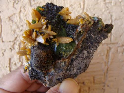 Galena, Mimetite, Wulfenite and Goethite.
Mapimí, Durango, Mexico.
8cms x 7 cms . (Author: javmex2)