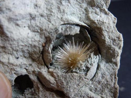 Aragonito<br />La Serna Quarry (La Tinaja Quarry), La Serna, Pantoja, Comarca La Sagra, Toledo, Castilla-La Mancha, Spain<br />2 cm. de diámetro<br /> (Autor: javier ruiz martin)