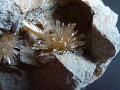 Aragonito<br />La Serna Quarry (La Tinaja Quarry), La Serna, Pantoja, Comarca La Sagra, Toledo, Castilla-La Mancha, Spain<br />1,5 cm. de diametro cada Aragonito<br /> (Autor: javier ruiz martin)