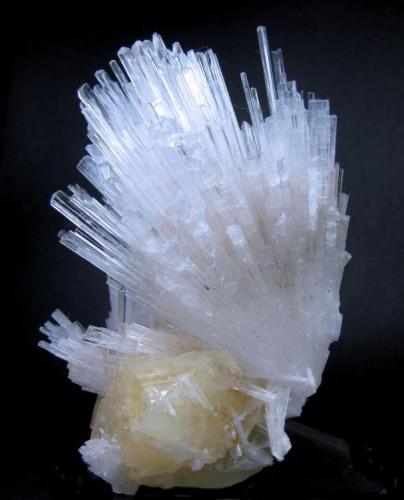 Powellite, scolecite
Yeola, Nasik District, Maharashtra, India
108 mm x 75 mm (Author: Carles Millan)