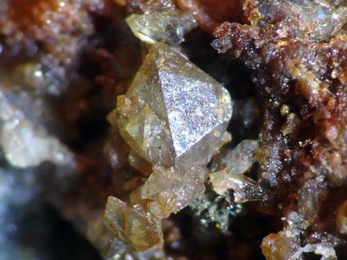 Escorodita<br />Tui (Tuy), Comarca Baixo Miño, Pontevedra, Galicia / Galiza, España<br />Cristal sobre 1mm<br /> (Autor: Javier MC)
