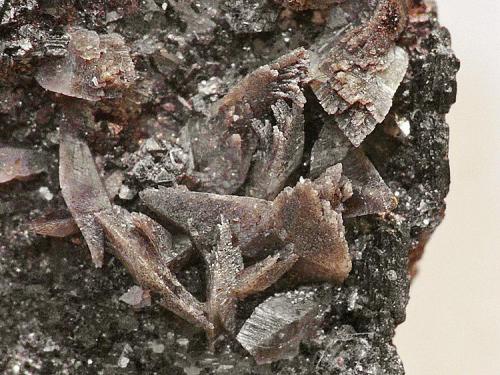 Titanitas?
Cantera Cillarga, Ponteareas, Pontevedra
Encuadre 1cm
Me parecen titanitas, pero no estoy totalmente seguro ya que no conosco mucho este mineral, si alguno tiene una opinion al respecto será bienvenida. (Autor: Javier MC)